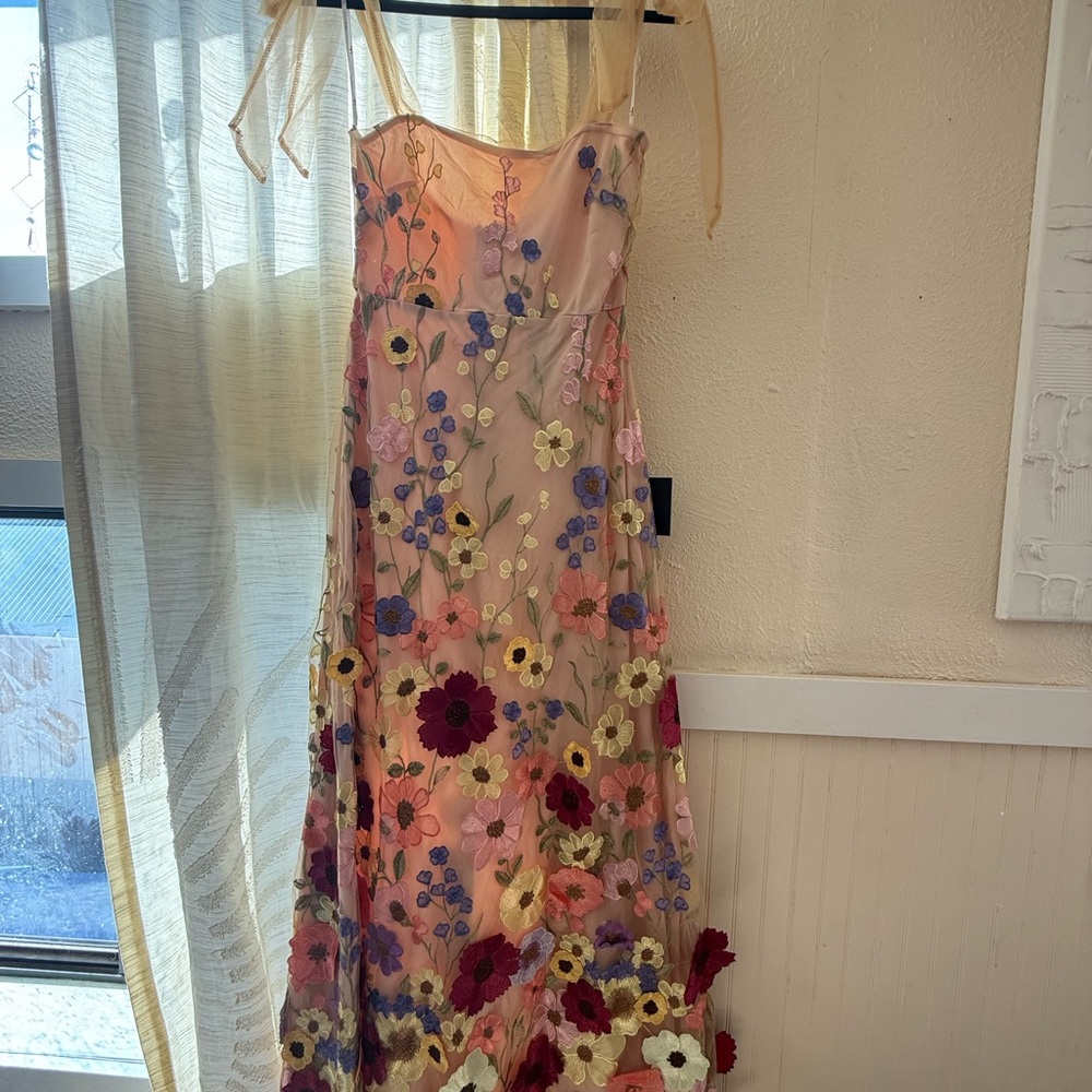 Lulu's Blush 3D Flower Embroidered Dress